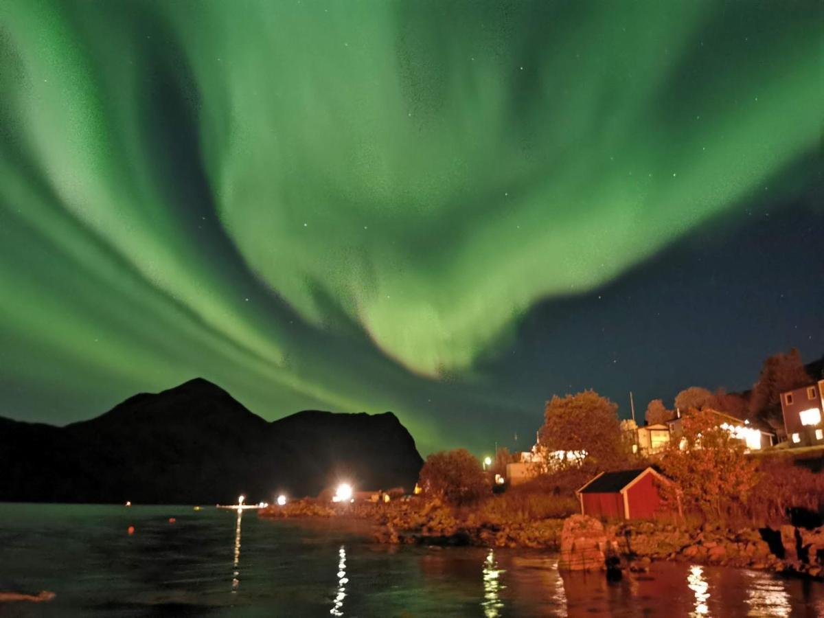 Appartamento Waterfront Senja Torsken Esterno foto