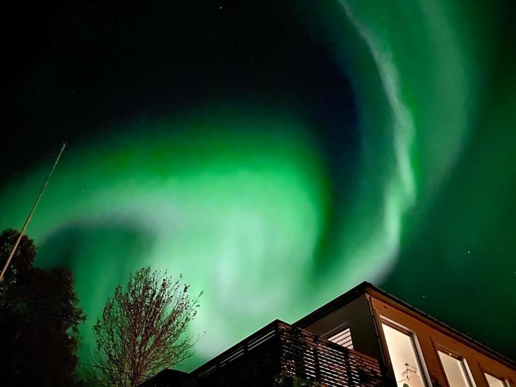 Appartamento Waterfront Senja Torsken Esterno foto
