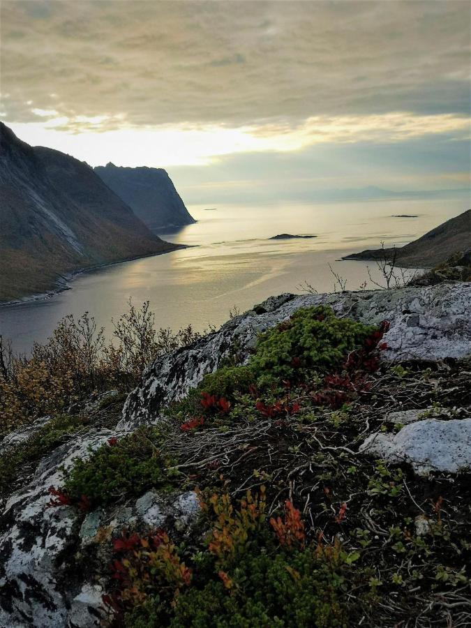 Appartamento Waterfront Senja Torsken Esterno foto