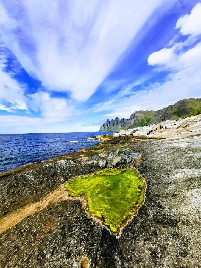 Appartamento Waterfront Senja Torsken Esterno foto