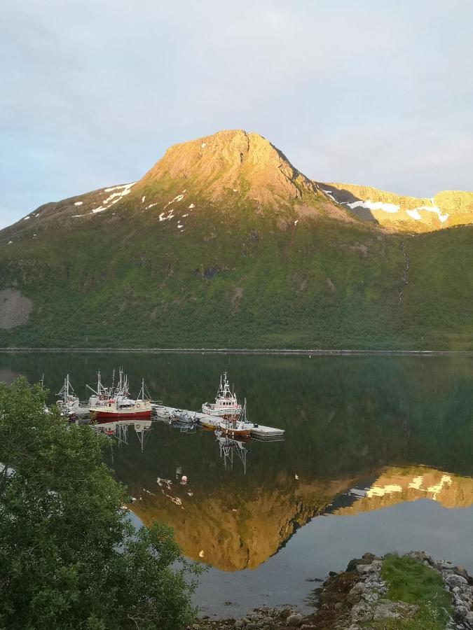 Appartamento Waterfront Senja Torsken Esterno foto