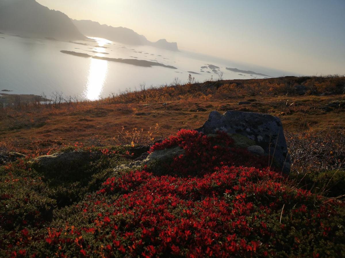 Appartamento Waterfront Senja Torsken Esterno foto