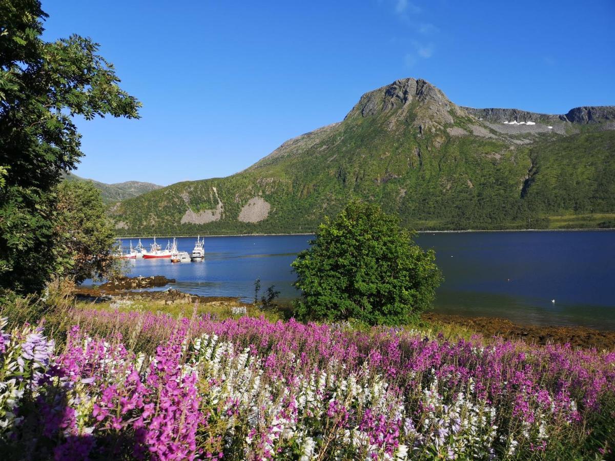 Appartamento Waterfront Senja Torsken Esterno foto